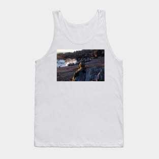 Deep Sea Diving Helmet On Large Rock Tank Top